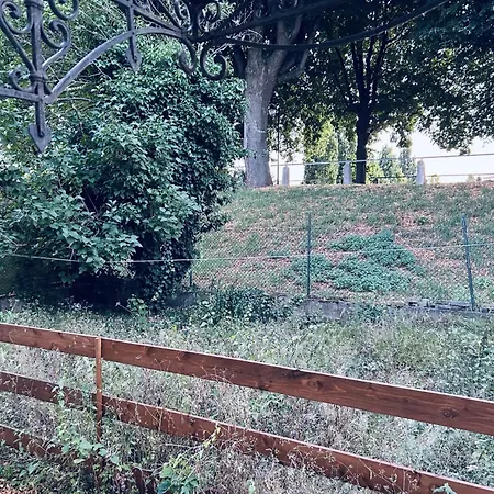 T3-dans Le Verdure Tres Calme A Schiltigheim